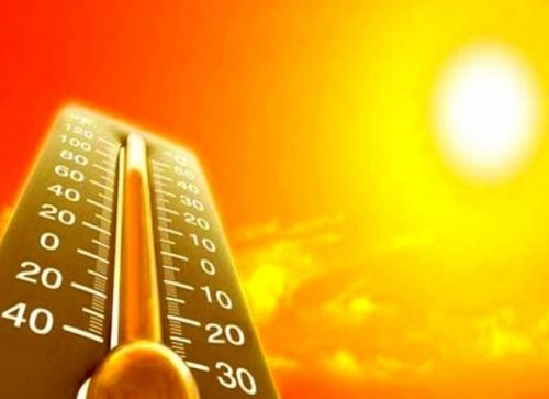 44cef1f5c21336cf3b323e11e1b29957_1718781862_9489.jpg 44cef1f5c21336cf3b323e11e1b29957_1718781862_9489.jpg